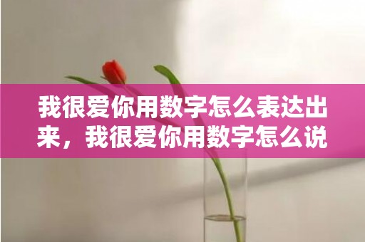 我很爱你用数字怎么表达出来，我很爱你用数字怎么说