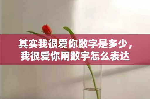 其实我很爱你数字是多少，我很爱你用数字怎么表达