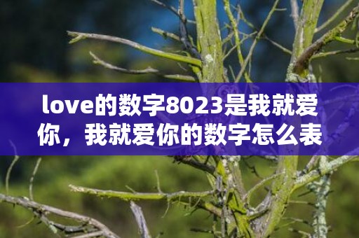 love的数字8023是我就爱你，我就爱你的数字怎么表达