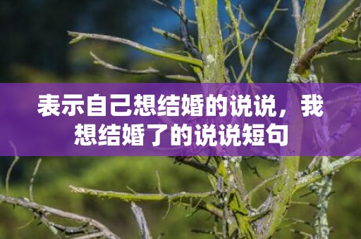表示自己想结婚的说说，我想结婚了的说说短句