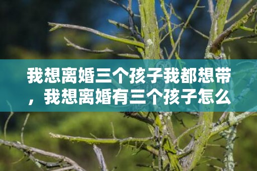 我想离婚三个孩子我都想带，我想离婚有三个孩子怎么办