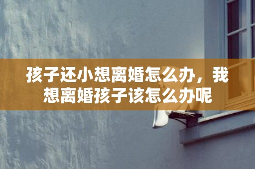 孩子还小想离婚怎么办，我想离婚孩子该怎么办呢
