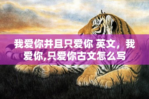 我爱你并且只爱你 英文，我爱你,只爱你古文怎么写