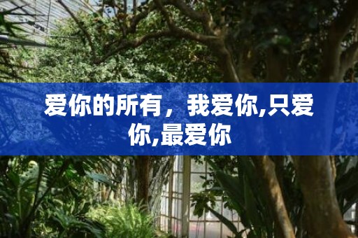 爱你的所有，我爱你,只爱你,最爱你