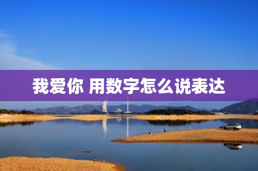 我爱你 用数字怎么说表达