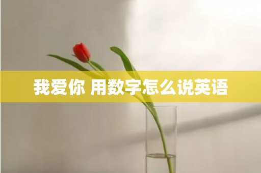 我爱你 用数字怎么说英语