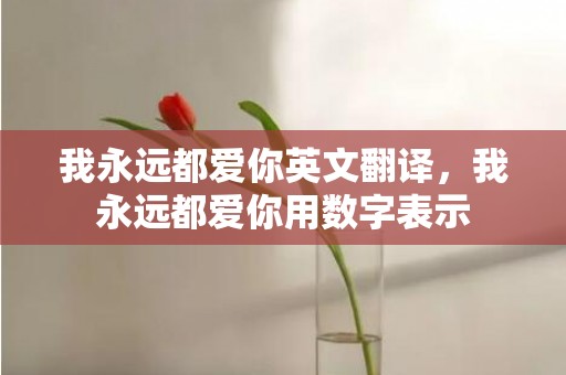 我永远都爱你英文翻译，我永远都爱你用数字表示