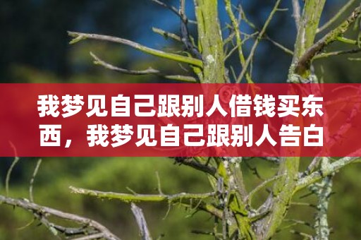 我梦见自己跟别人借钱买东西，我梦见自己跟别人告白