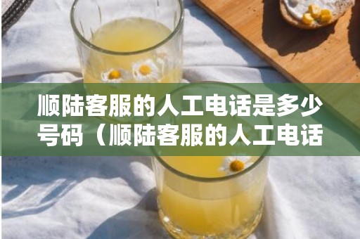 顺陆客服的人工电话是多少号码（顺陆客服的人工电话是多少号）
