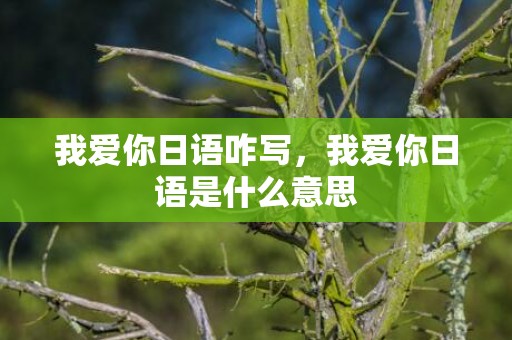 我爱你日语咋写，我爱你日语是什么意思