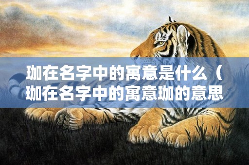 珈在名字中的寓意是什么（珈在名字中的寓意珈的意思）