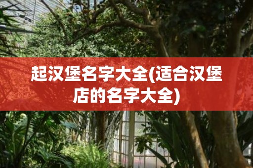 起汉堡名字大全(适合汉堡店的名字大全)