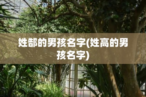 姓郜的男孩名字(姓高的男孩名字)