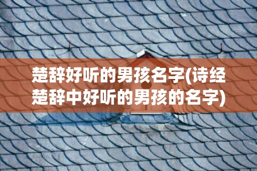 楚辞好听的男孩名字(诗经楚辞中好听的男孩的名字)