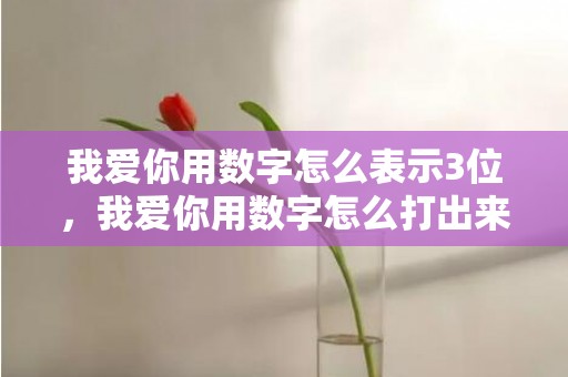 我爱你用数字怎么表示3位，我爱你用数字怎么打出来