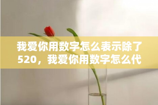 我爱你用数字怎么表示除了520，我爱你用数字怎么代替