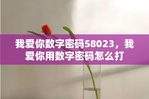 我爱你数字密码58023，我爱你用数字密码怎么打