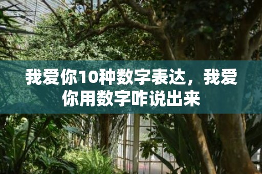 我爱你10种数字表达，我爱你用数字咋说出来