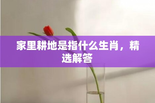 家里耕地是指什么生肖，精选解答
