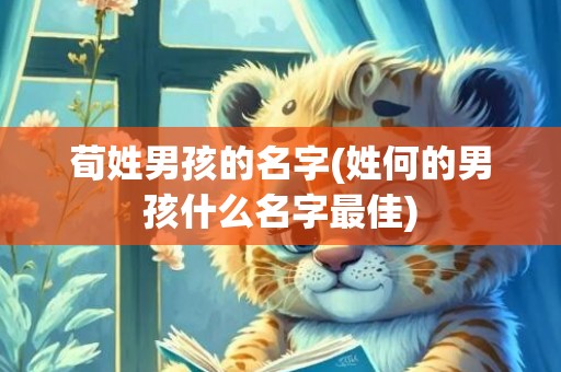 荀姓男孩的名字(姓何的男孩什么名字最佳)