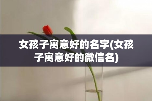 女孩子寓意好的名字(女孩子寓意好的微信名)