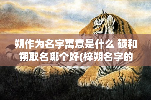 朔作为名字寓意是什么 硕和朔取名哪个好(梓朔名字的寓意怎么样)