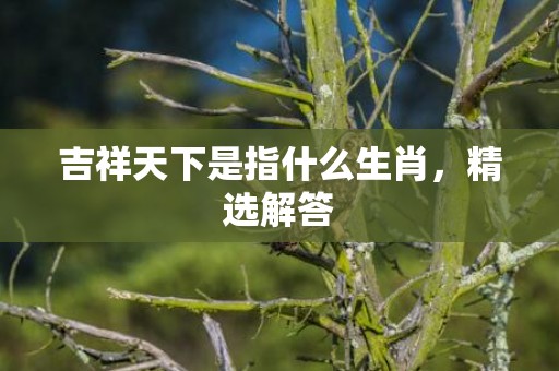 吉祥天下是指什么生肖，精选解答
