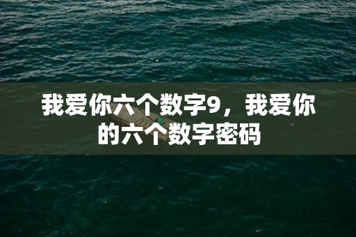 我爱你六个数字9，我爱你的六个数字密码
