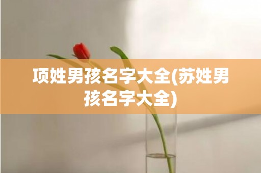 项姓男孩名字大全(苏姓男孩名字大全)