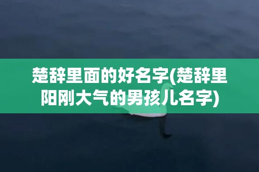 楚辞里面的好名字(楚辞里阳刚大气的男孩儿名字)