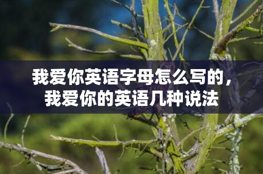 我爱你英语字母怎么写的，我爱你的英语几种说法