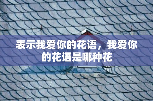 表示我爱你的花语，我爱你的花语是哪种花