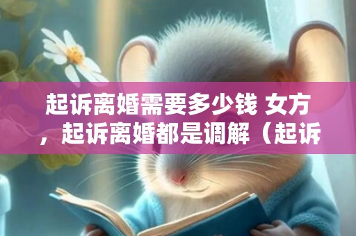 起诉离婚需要多少钱 女方，起诉离婚都是调解（起诉离婚调解失败怎么办）