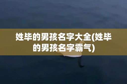 姓毕的男孩名字大全(姓毕的男孩名字霸气)