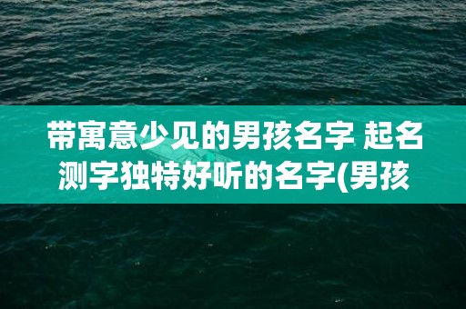 带寓意少见的男孩名字 起名测字独特好听的名字(男孩寓意很好但少见的字)