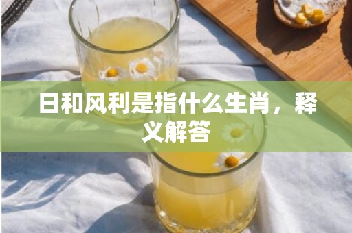 日和风利是指什么生肖，释义解答