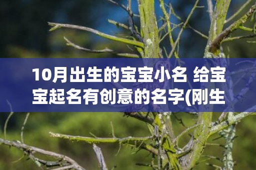 10月出生的宝宝小名 给宝宝起名有创意的名字(刚生出来的宝宝)