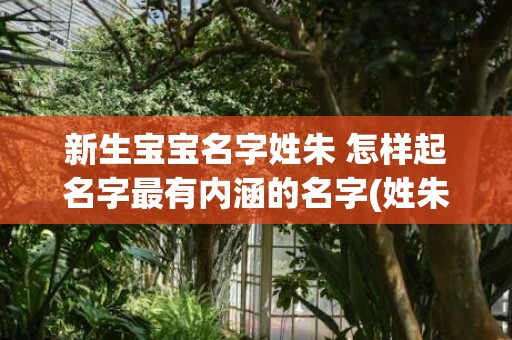 新生宝宝名字姓朱 怎样起名字最有内涵的名字(姓朱的龙宝宝取什么名字好)