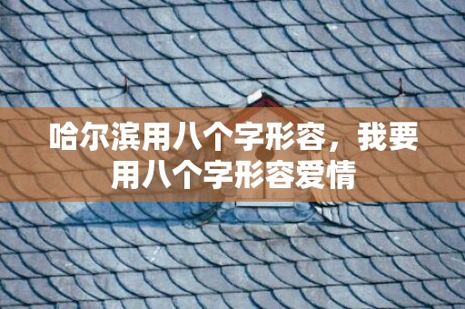 哈尔滨用八个字形容，我要用八个字形容爱情