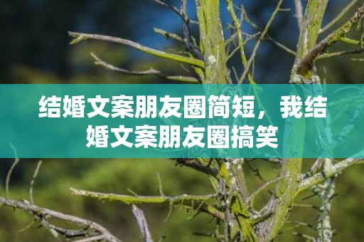 结婚文案朋友圈简短，我结婚文案朋友圈搞笑