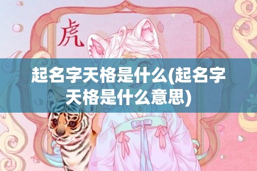 起名字天格是什么(起名字天格是什么意思)