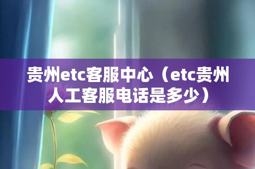 贵州etc客服中心（etc贵州人工客服电话是多少）