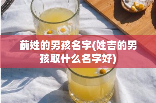 蓟姓的男孩名字(姓吉的男孩取什么名字好)