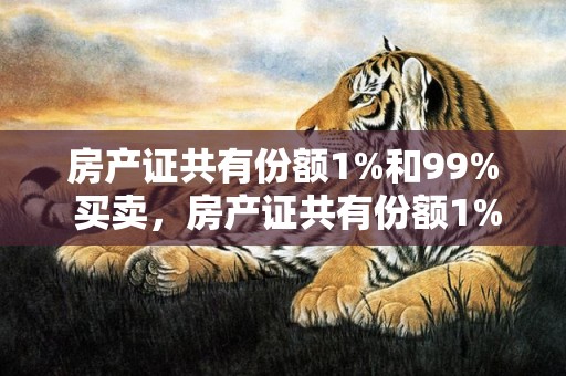 房产证共有份额1%和99% 买卖，房产证共有份额1%和99%