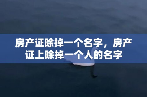 房产证除掉一个名字，房产证上除掉一个人的名字