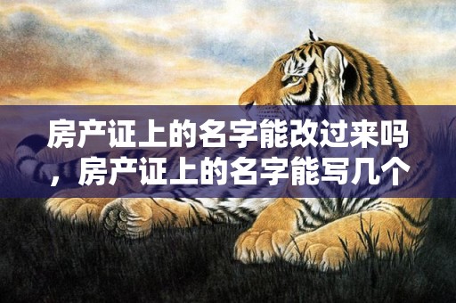 房产证上的名字能改过来吗，房产证上的名字能写几个人