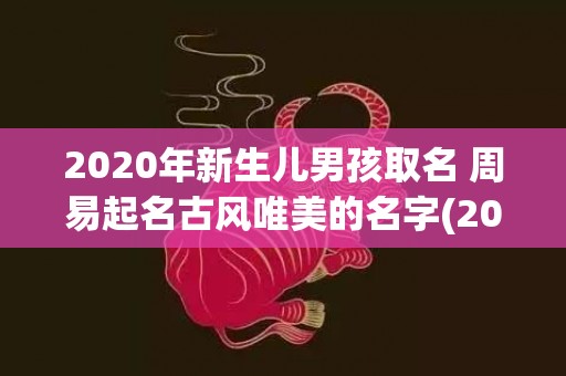2020年新生儿男孩取名 周易起名古风唯美的名字(2020年新生儿男女孩出生比例)