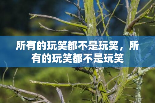 所有的玩笑都不是玩笑，所有的玩笑都不是玩笑