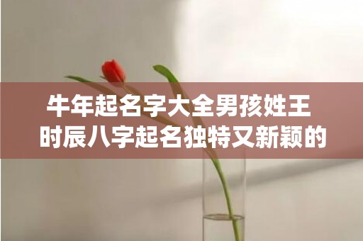 牛年起名字大全男孩姓王 时辰八字起名独特又新颖的名字(牛年起名字大全男孩)