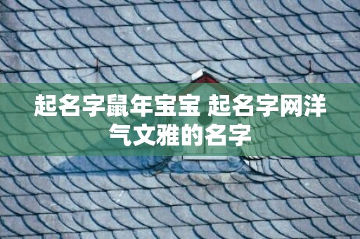 起名字鼠年宝宝 起名字网洋气文雅的名字
